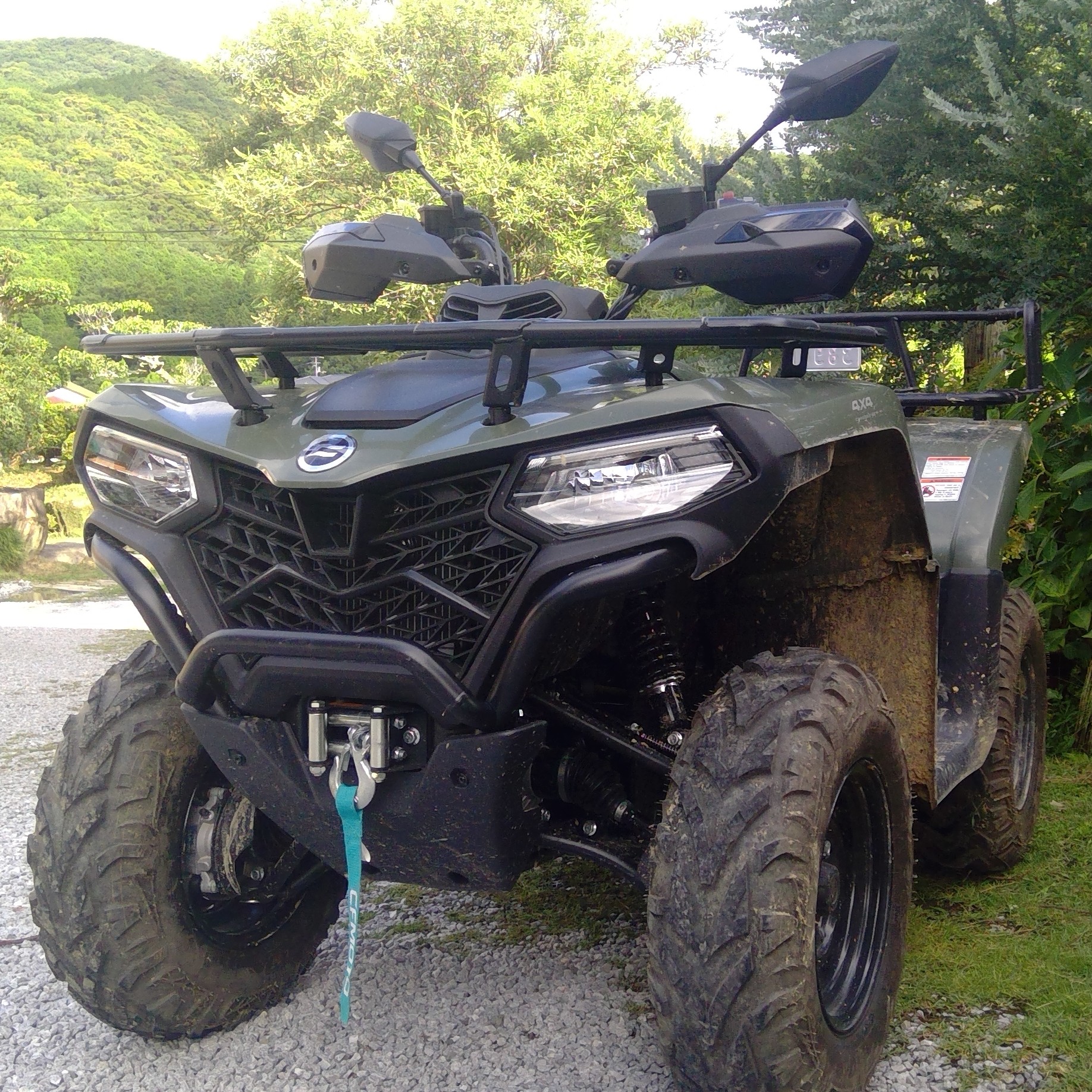 Buggy
